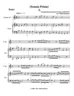 Вивиани Дж. Соната №1_Страница_08.jpg