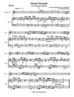 Вивиани Дж. Соната №2_Страница_02.jpg