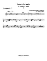 Вивиани Дж. Соната №2_Страница_03.jpg