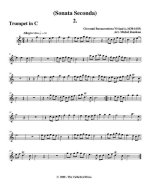 Вивиани Дж. Соната №2_Страница_08.jpg