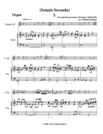 Вивиани Дж. Соната №2_Страница_09.jpg