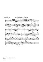 Гайдн Й. Каденции к концерту_Страница_03.jpg