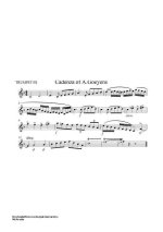 Гайдн Й. Каденции к концерту_Страница_07.jpg