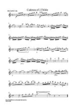 Гайдн Й. Каденции к концерту_Страница_08.jpg