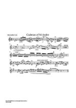 Гайдн Й. Каденции к концерту_Страница_09.jpg