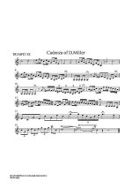 Гайдн Й. Каденции к концерту_Страница_10.jpg