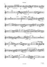 Гинецинский В. Баллада_Страница_02.jpg