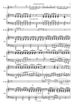 Гинецинский В. Героический этюд_Страница_4.jpg