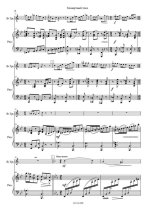 Гинецинский В. Концертный этюд_Страница_4.jpg