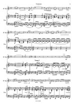 Гинецинский В. Скерцино_Страница_4.jpg