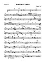 Карц В. Концерт-Фантазия_Страница_01.jpg