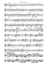 Карц В. Концерт-Фантазия_Страница_02.jpg