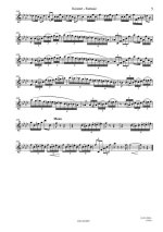 Карц В. Концерт-Фантазия_Страница_05.jpg