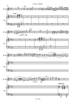 Карц В. Концерт-Фантазия_Страница_07.jpg