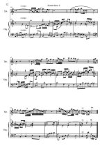 Лаффрэ Ж. Голубая соната_Страница_8.jpg