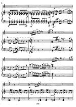 Леончик В. Концерт для трубы_Страница_07.jpg