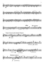 Пескин В. Концерт №3_Страница_5.jpg