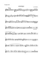 Рахимов Р. Скерцо для трубы_Страница_8.jpg