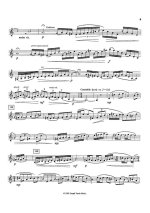 Туррин Э. 2 портрета_Страница_7.jpg