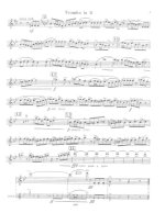 Шахов В. Румба-скерцо_Страница_02.jpg