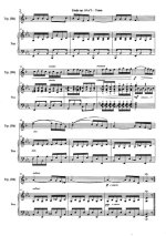 Шопен Ф. Этюд соч. 10, №3_Страница_2.jpg