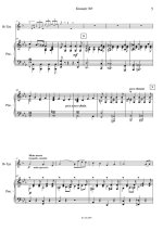 Щелоков В. Концерт № 5_Страница_06.jpg