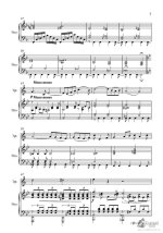 Щелоков В. Концерт №6_Страница_04.jpg