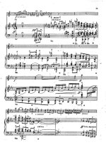 Энеску Дж. Легенда_Страница_06.jpg