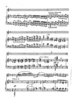 Энеску Дж. Легенда_Страница_07.jpg