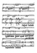 Энеску Дж. Легенда_Страница_08.jpg