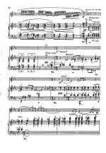 Энеску Дж. Легенда_Страница_09.jpg