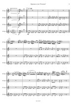 Василевский В. Вариации в стиле Фламенко_Страница_3.jpg