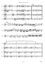 Василевский В. Вариации в стиле Фламенко_Страница_7.jpg