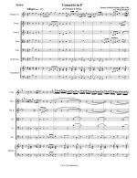 Вальтер И. Концерт_Страница_04.jpg