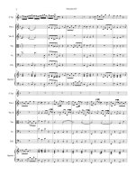 Вальтер И. Концерт_Страница_05.jpg