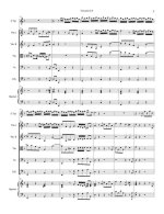 Вальтер И. Концерт_Страница_06.jpg