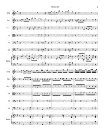 Вальтер И. Концерт_Страница_08.jpg