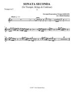 Вивиани Дж. Соната №2_Страница_05.jpg