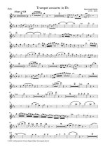 Гайдн Й. Концерт_Страница_06.jpg