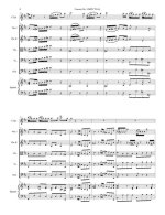 Мольтер И. Концерт №1_Страница_09.jpg