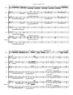 Мольтер И. Концерт №2_Страница_09.jpg