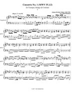 Мольтер И. Концерт №3_Страница_03.jpg