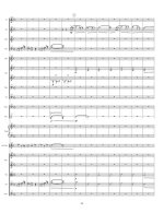 Хаффман Ф. Концерт для трубы-пикколо_Страница_05.jpg