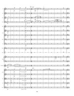 Хаффман Ф. Концерт для трубы-пикколо_Страница_10.jpg