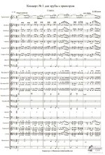 Щелоков А. Концерт №1_Страница_02.jpg