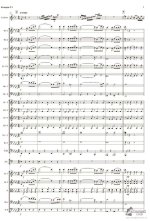 Щелоков А. Концерт №1_Страница_06.jpg