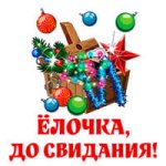 Прощание с Ёлкой.jpg