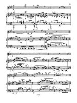 Адлер Е.Поэма для скрипки и фортепиано_Страница_05.jpg