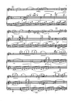 Аустер Л. Лето в Кясму - Лирическое концертино для скрипки с оркестром_Страница_08.jpg