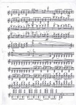 Баркаускас В. Партита для скрипки соло_Страница_5.jpg